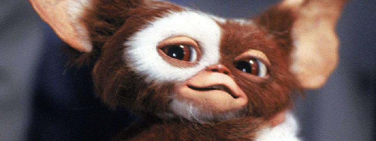 Gremlins 3 pode ser uma realidade… se tiver o ok de Spielberg